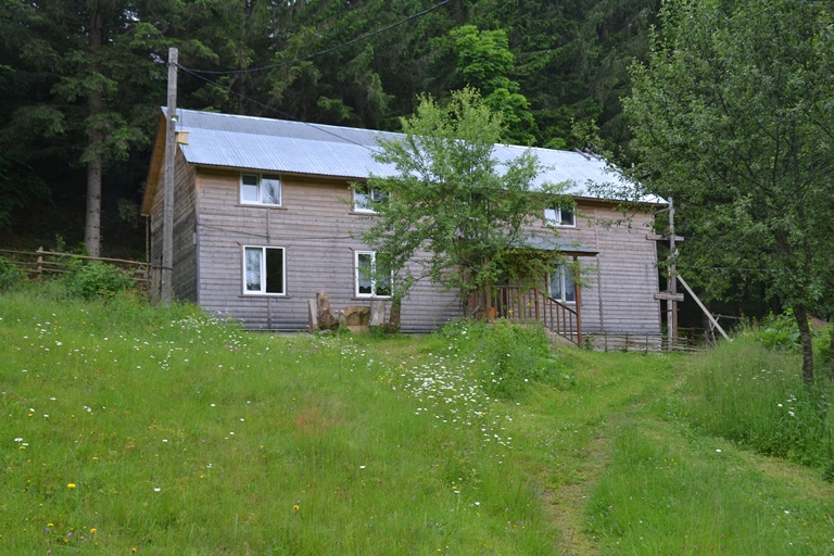 DSC 0307